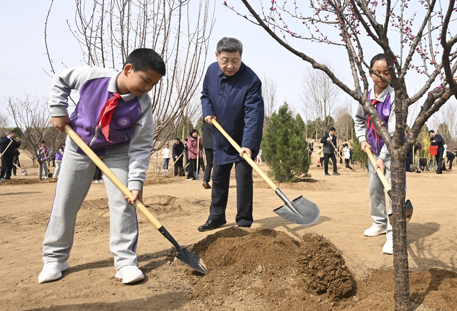 　　3月30日，党和国家领导人习近平、李强、赵乐际、王沪宁、蔡奇、丁薛祥、李希等来到北京市昌平区百善镇参加首都义务植树活动。这是习近平同大家一起植树。